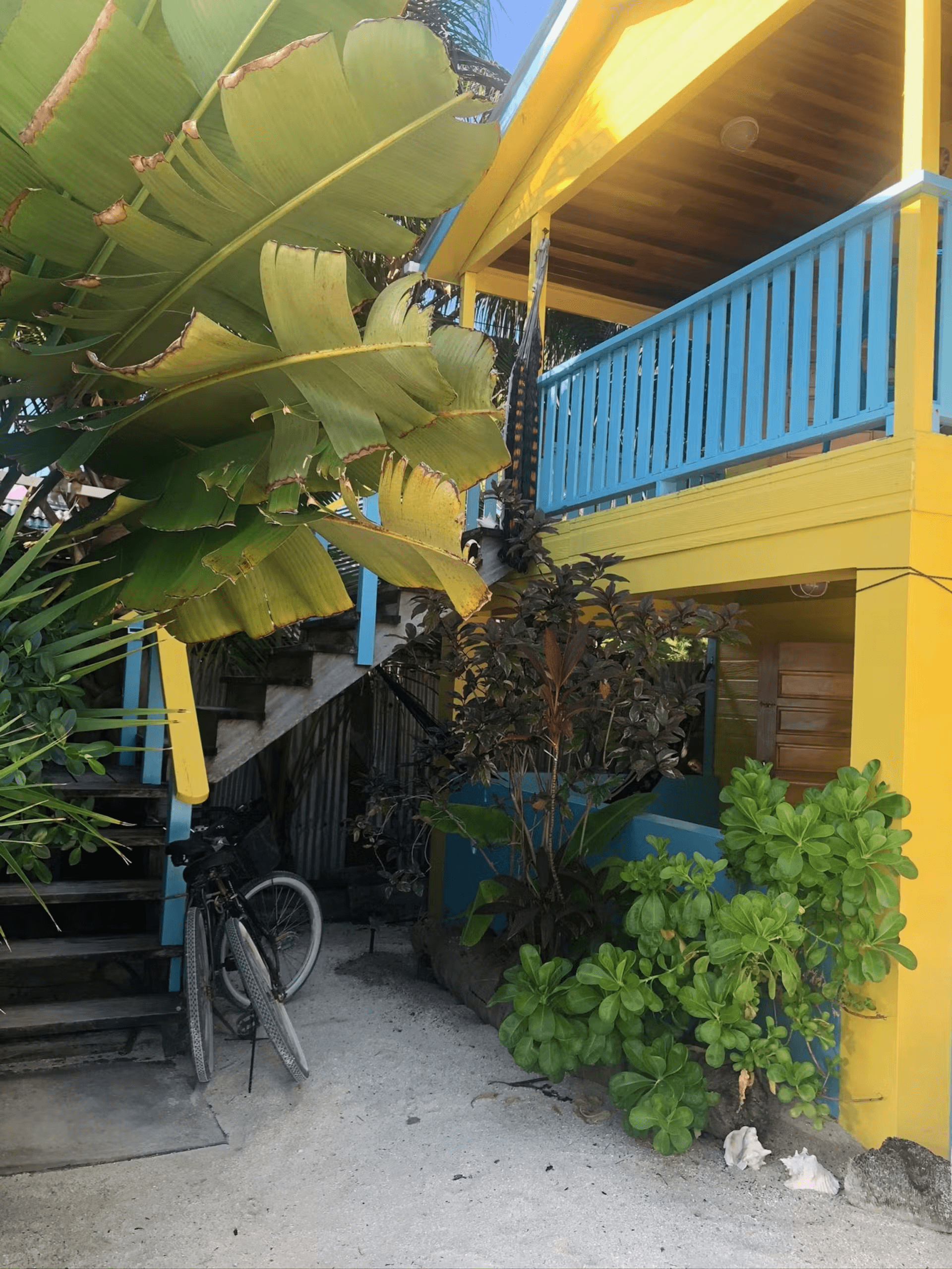 Exterior of a colorful blue and yellow cabana with stairs leading to second level, surrounded by tropical foliage, a bicycle leans against the stair railing
