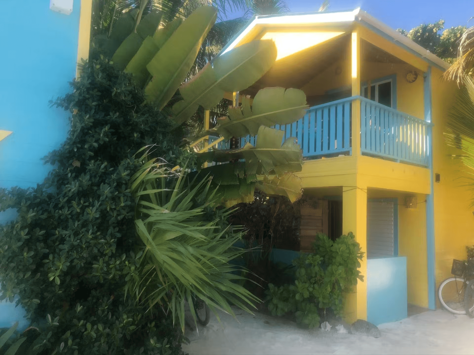 Bright yellow and blue painted cabana with lush tropical foliage out front