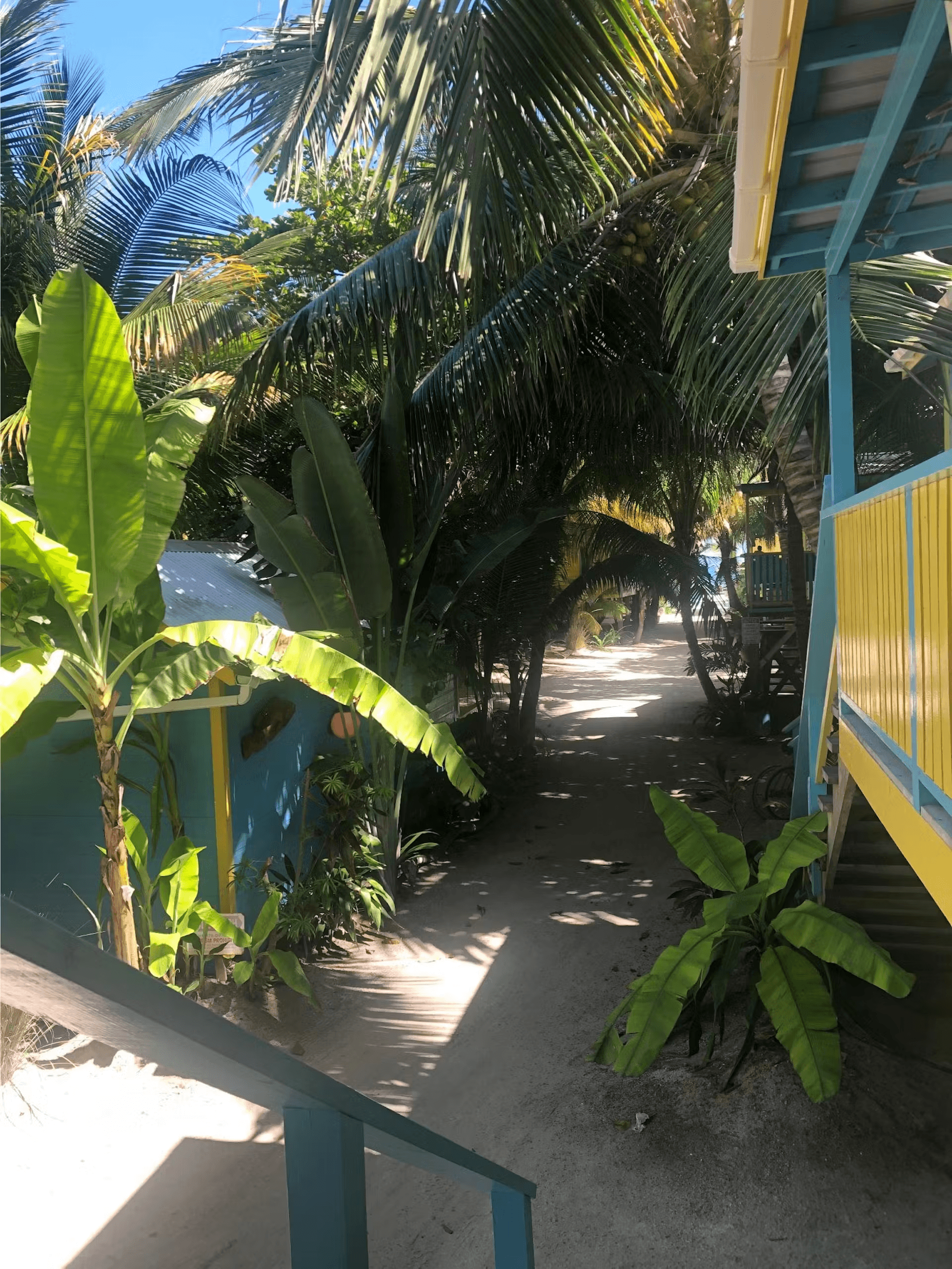 Exterior view from top of outside stairs showing a sandy walkway framed by tropical foliage beside cabana