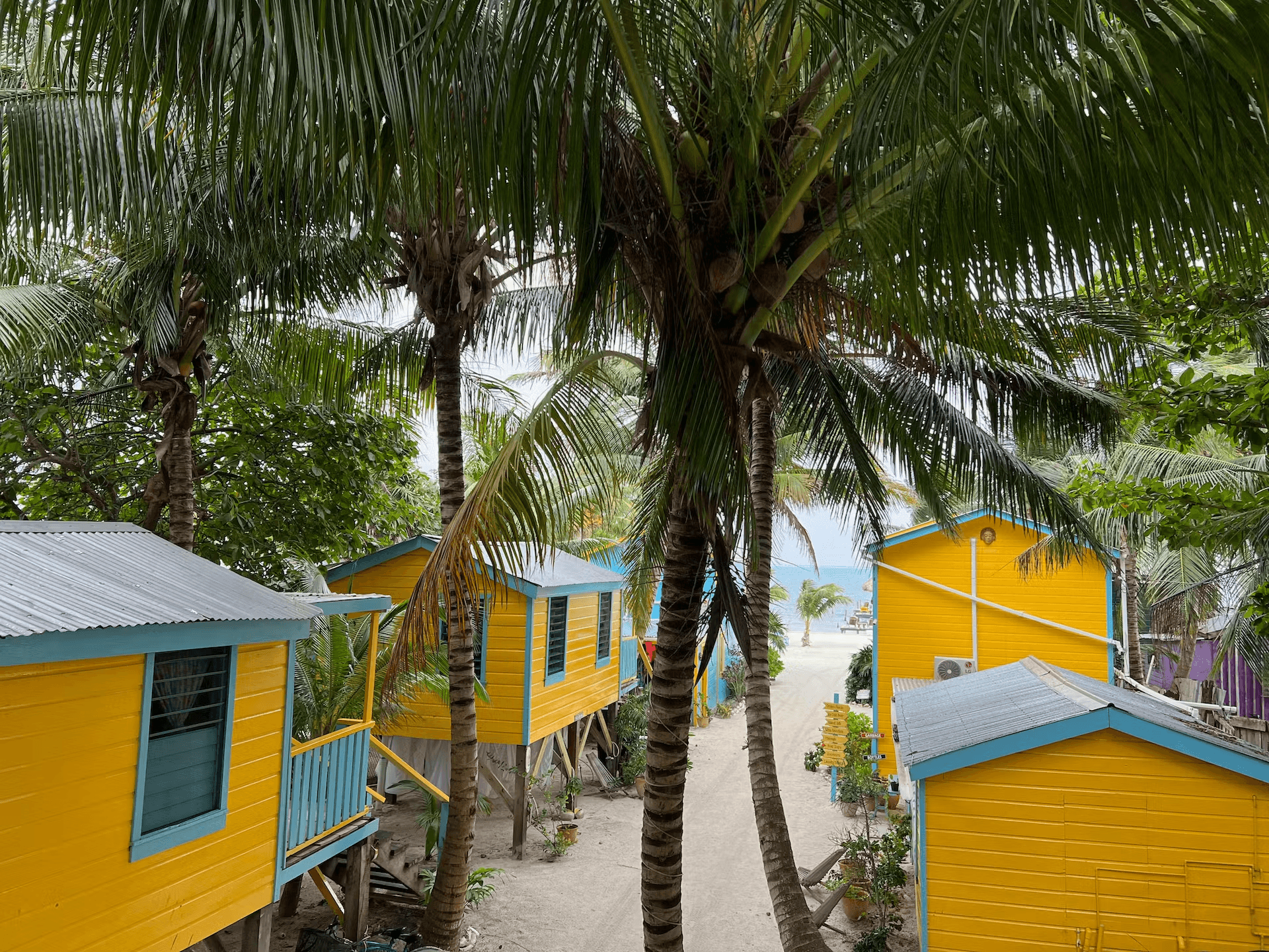 Bird's eye view of brightly painted yellow and blue cabanas surrounded by palm trees