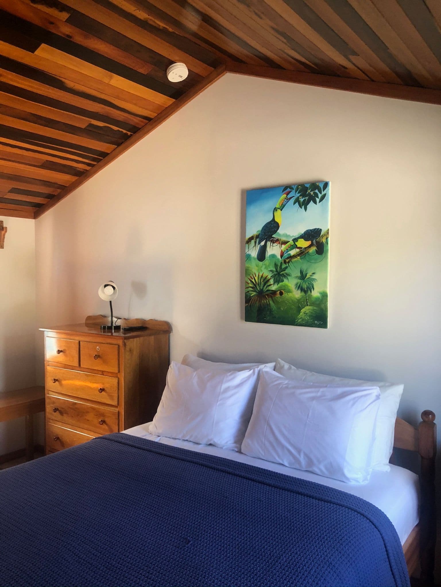 Queen bed with plump pillows and blue bedspread, tropical artwork of toucan, wooden dresser, and vaulted hardwood ceilings
