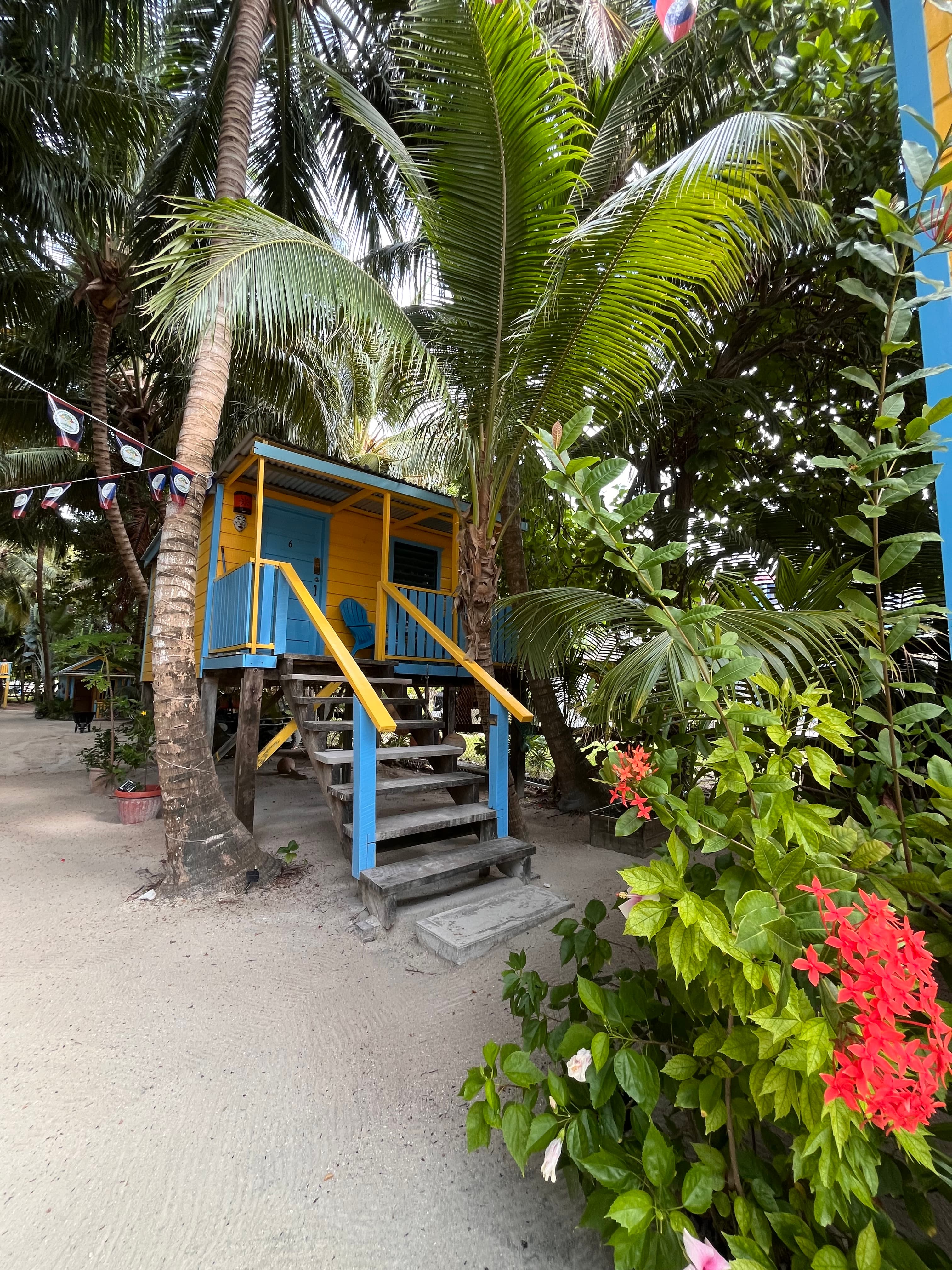 A colorful, elevated beach hut surrounded by palm trees and tropical plants.