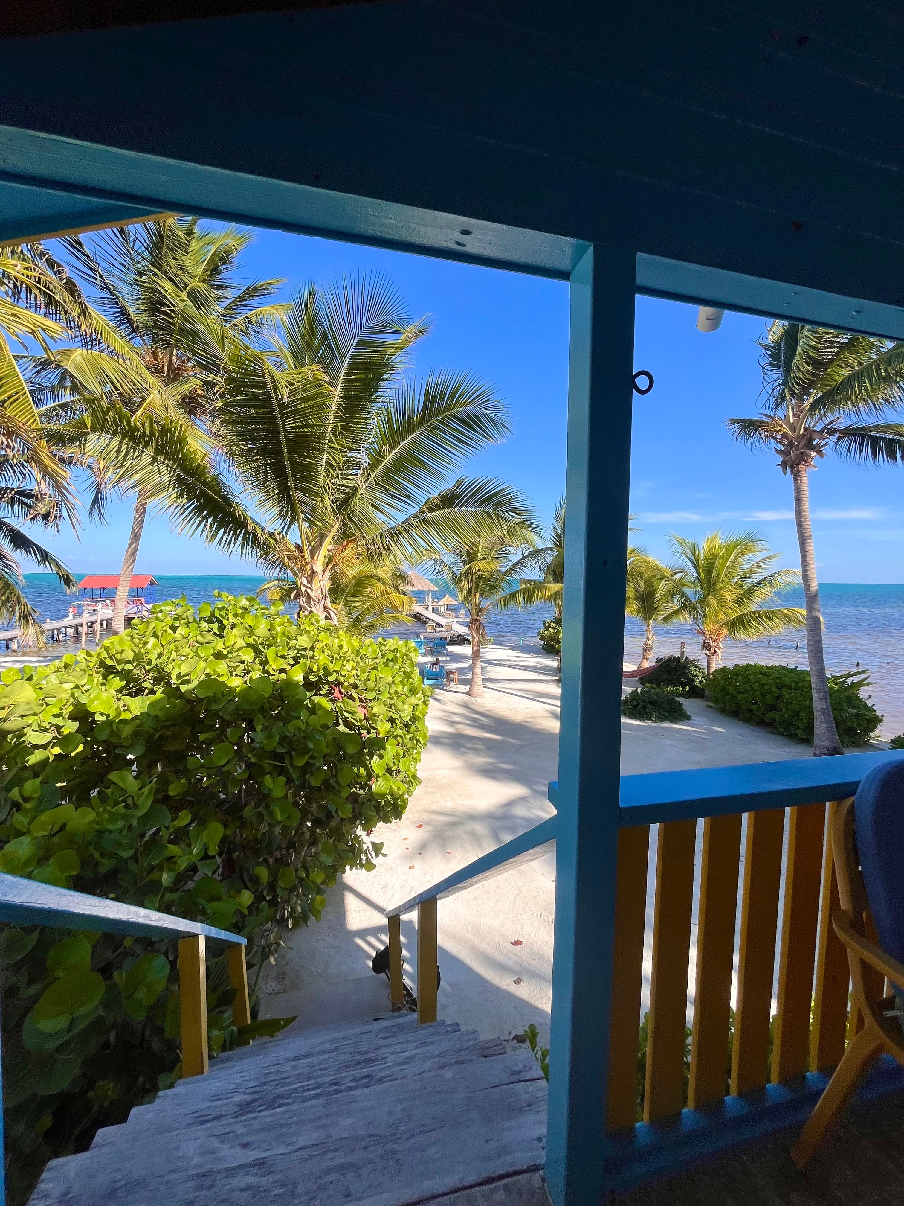 View of palm trees and a sandy beach leading to the ocean from a wooden porch.