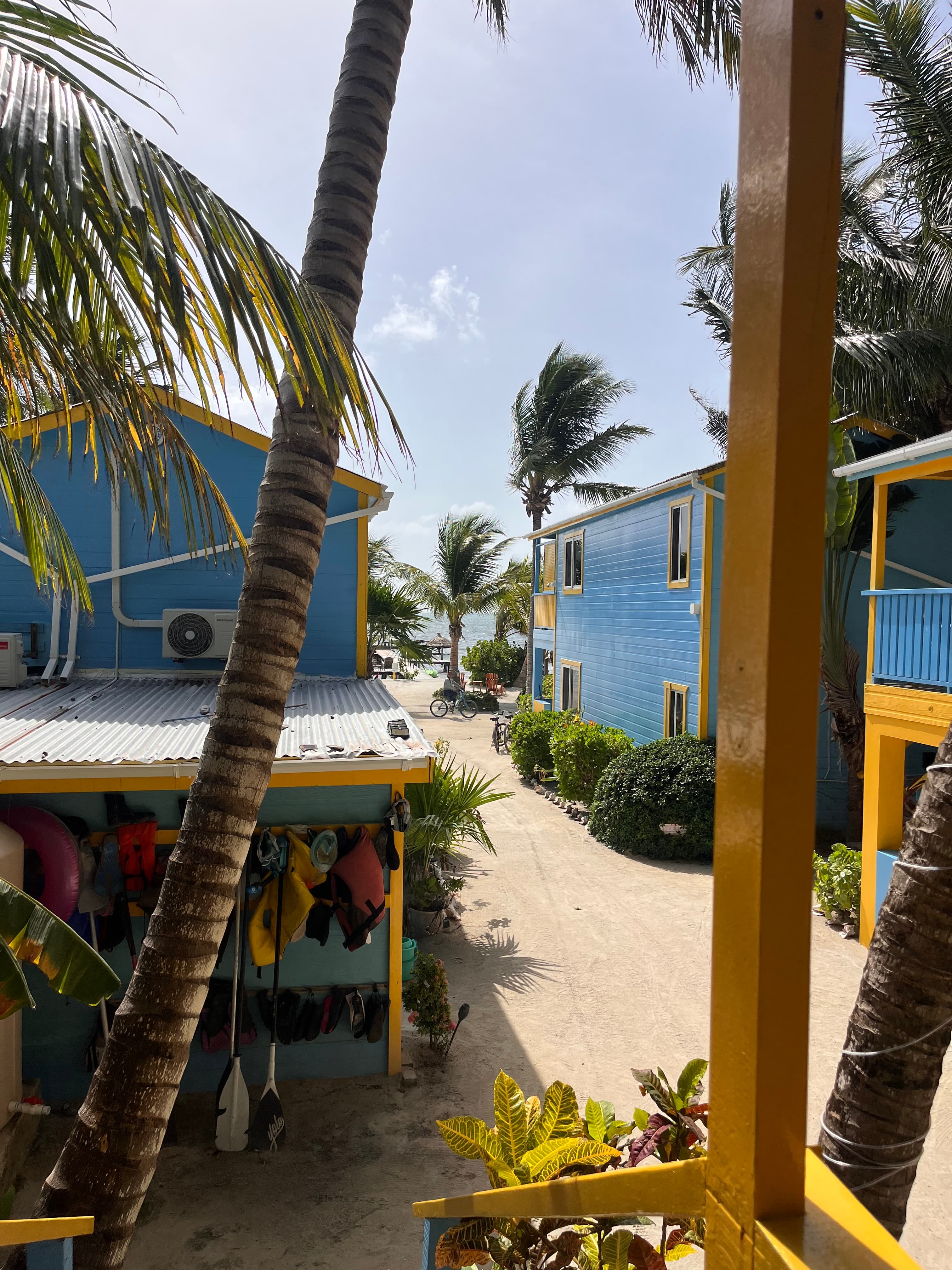 View of blue beach houses surrounded by palm trees and a sandy path leading to the sea.