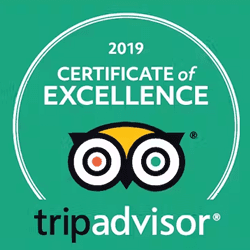 Trip Advisor award