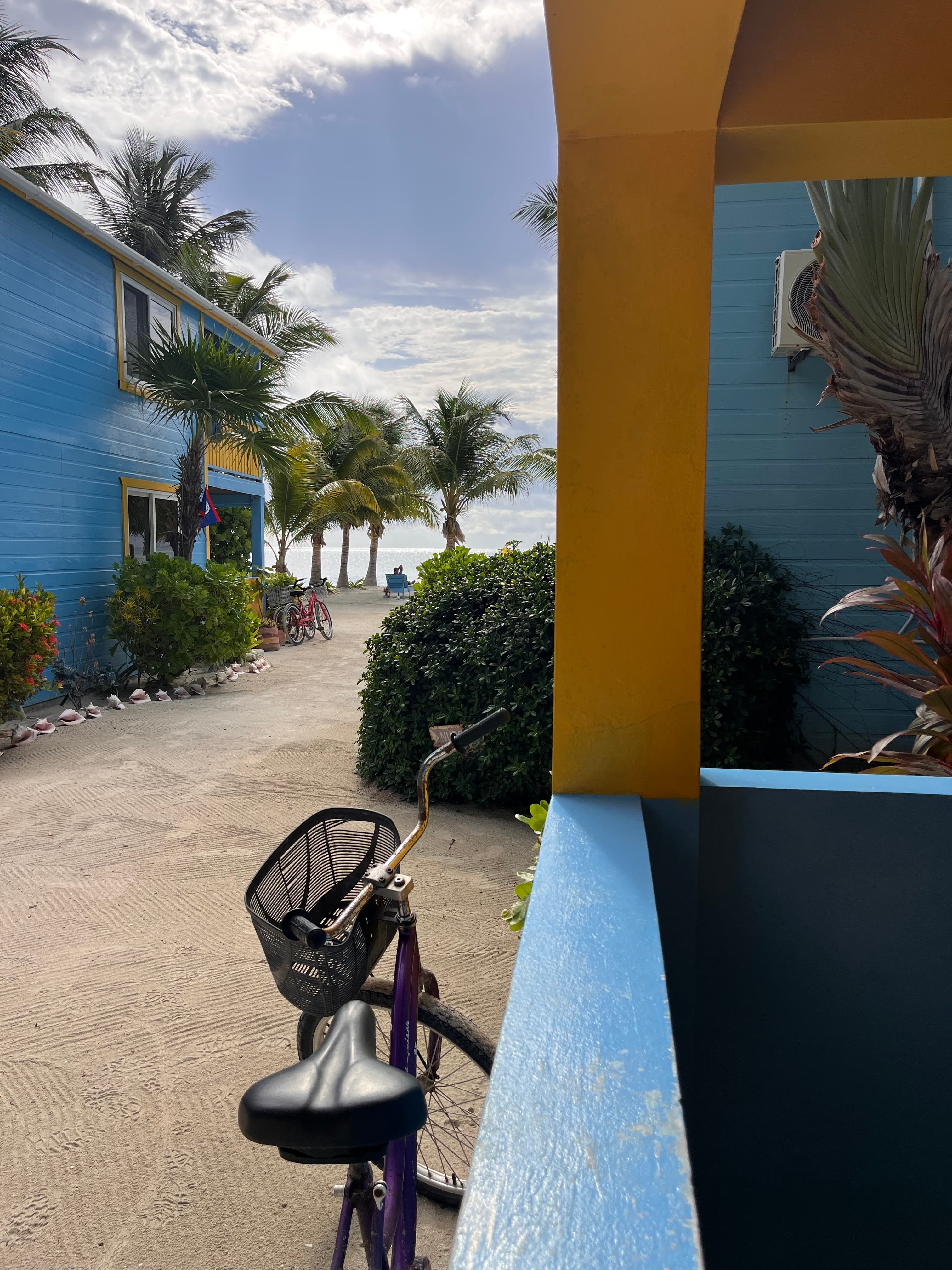 A vibrant pathway flanked by blue buildings and palm trees leads toward the beach.