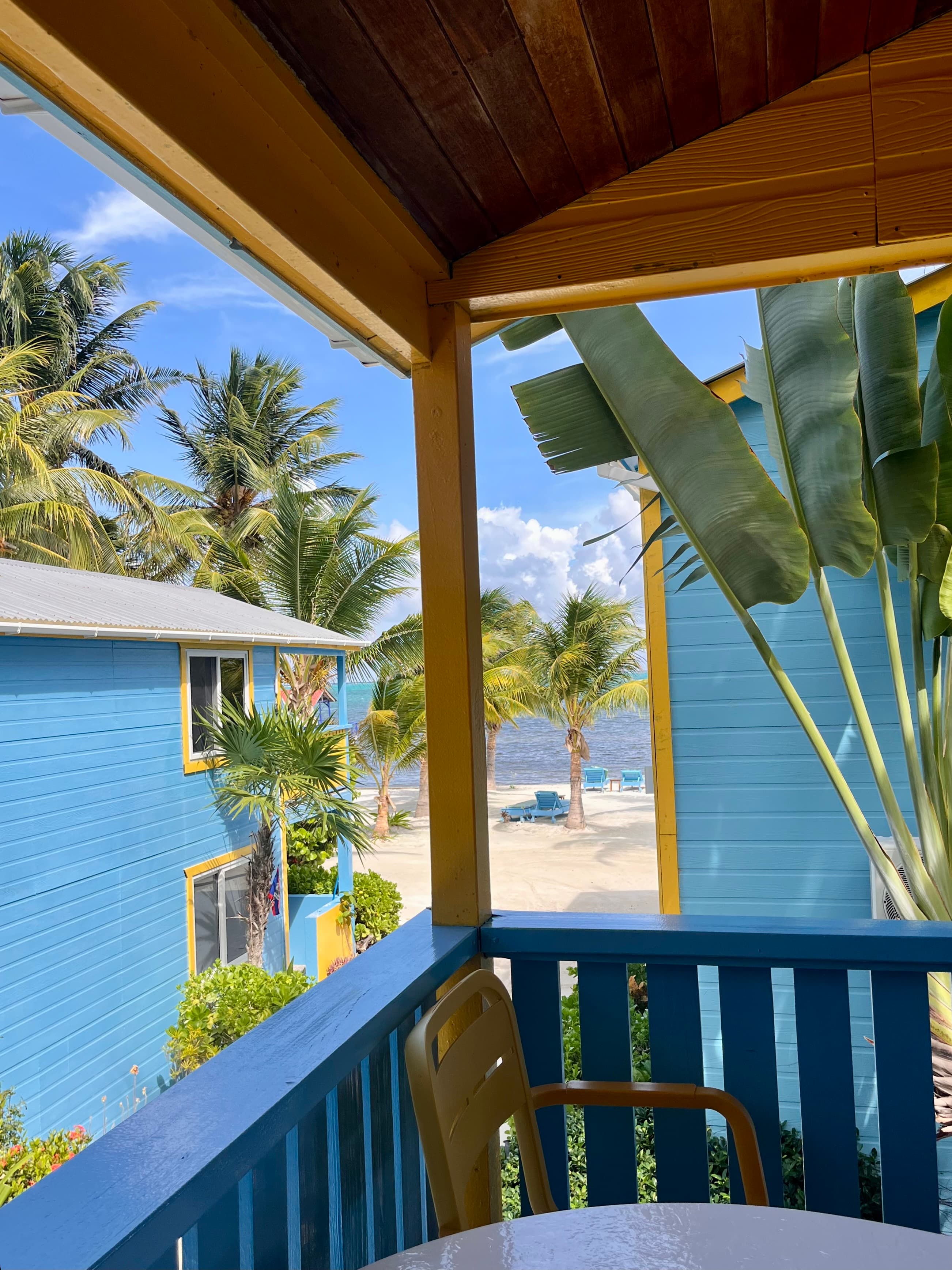 A vibrant view from a balcony overlooking tropical palm trees and blue buildings along a beach.