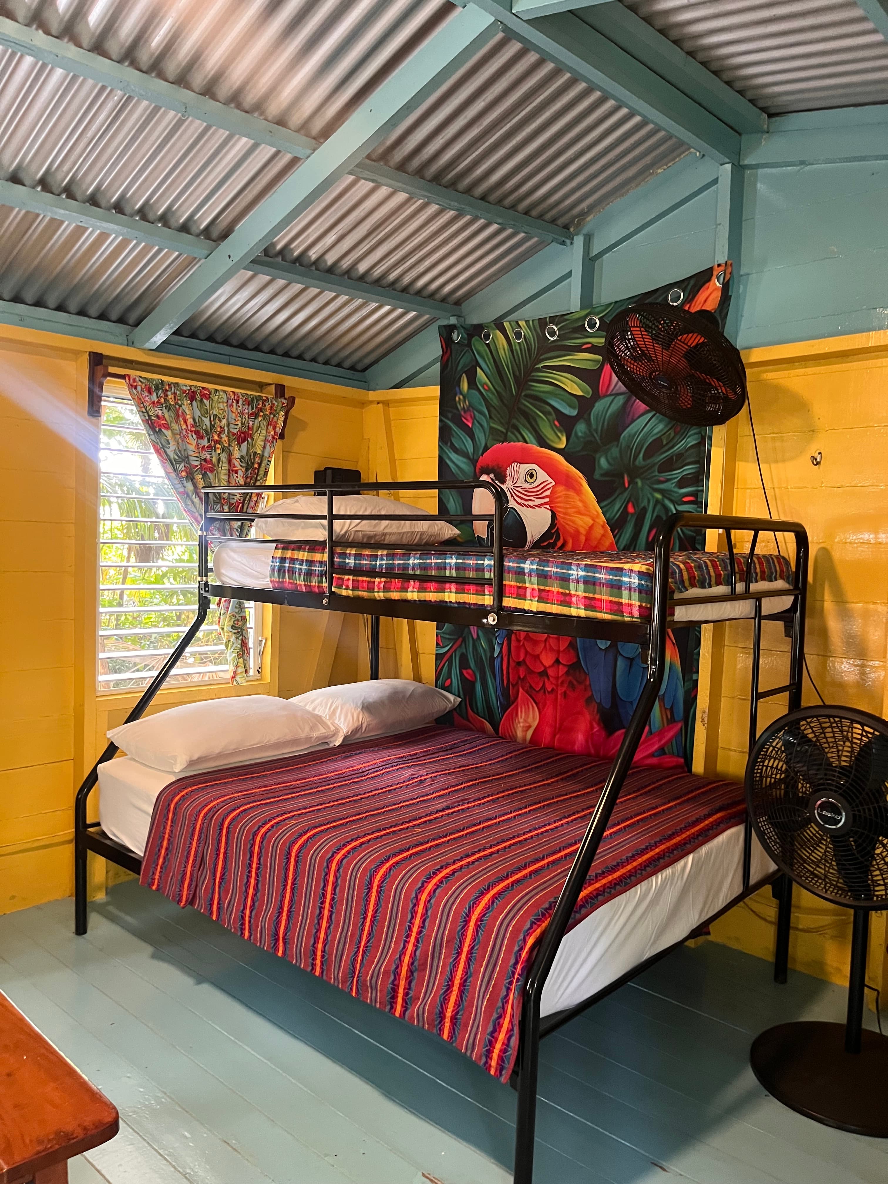 Colorful bedroom featuring a bunk bed with a vibrant parrot mural and bright decor.