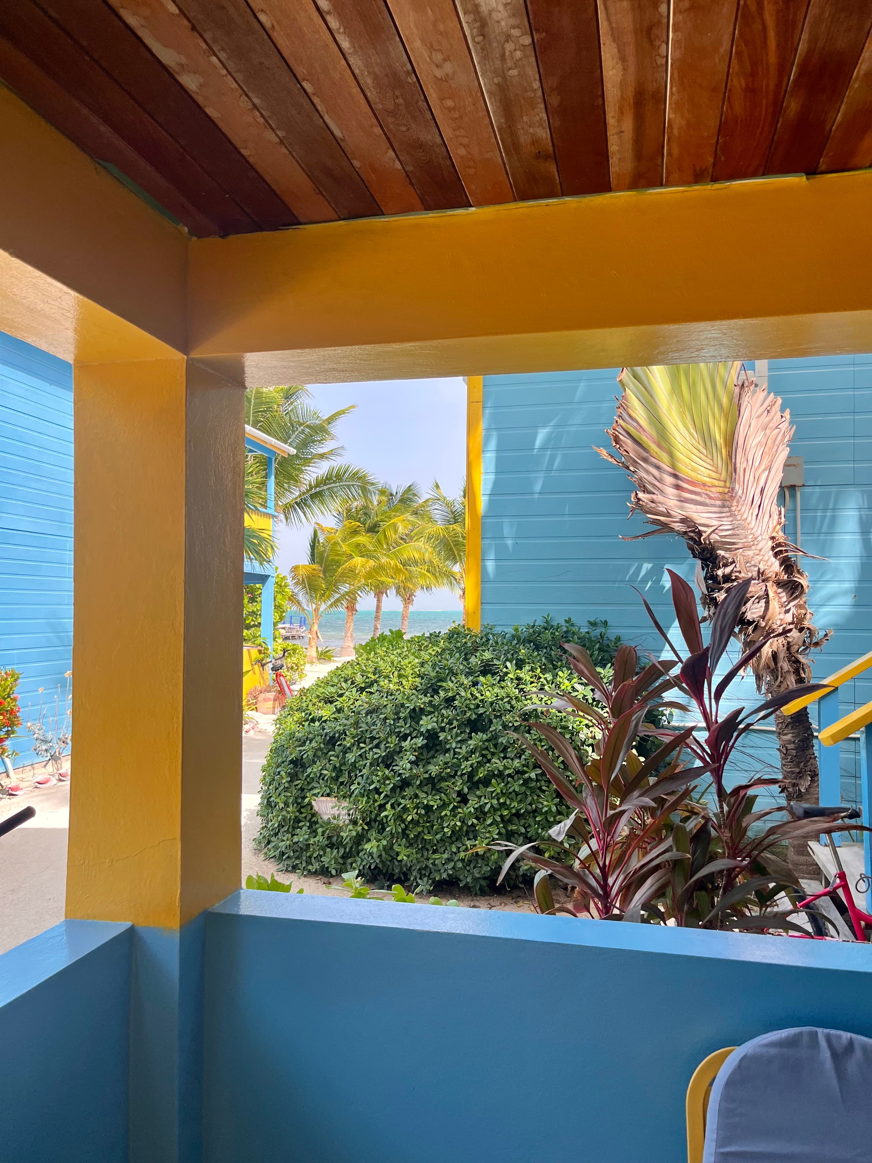 View of palm trees and vibrant blue buildings through a yellow-framed window.