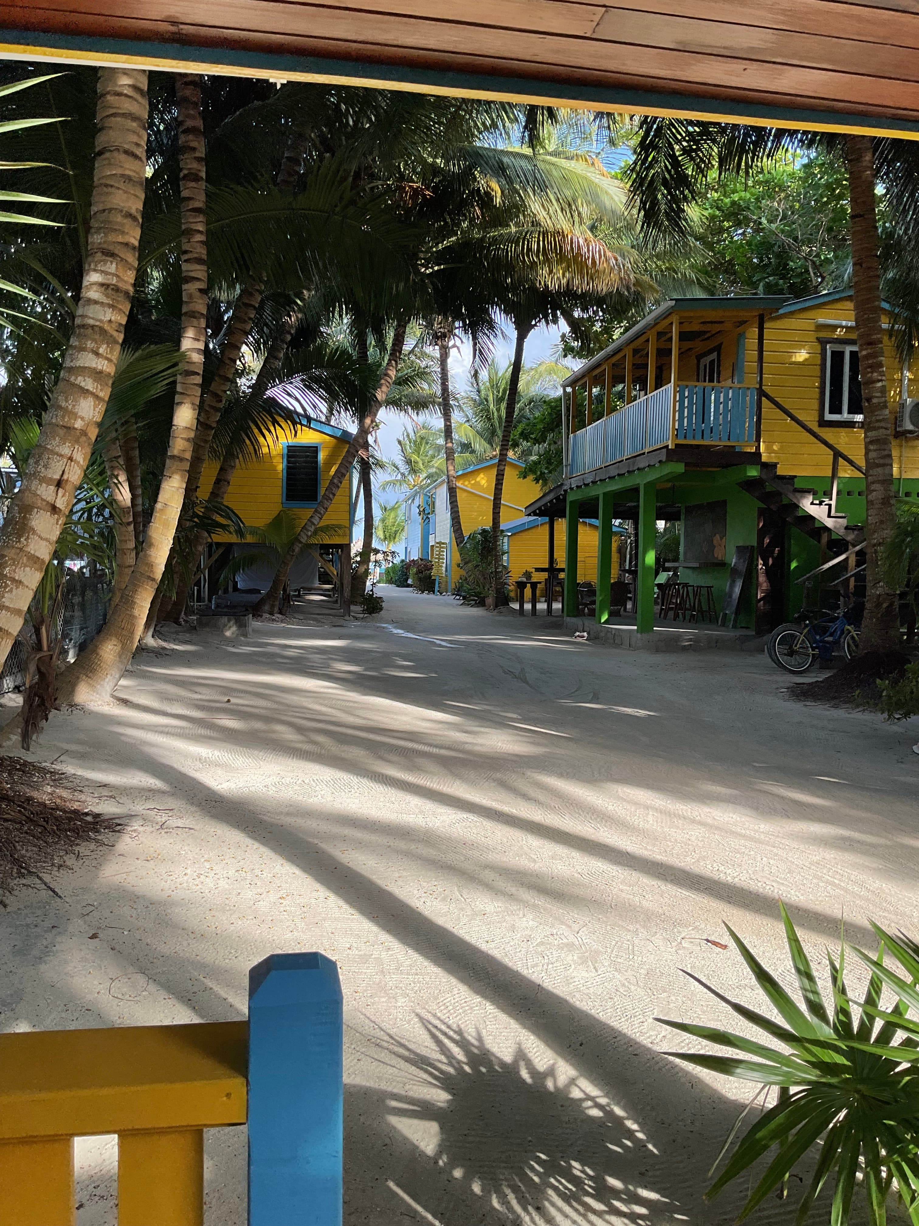 Colorful yellow cabins amidst palm trees along a sandy pathway.