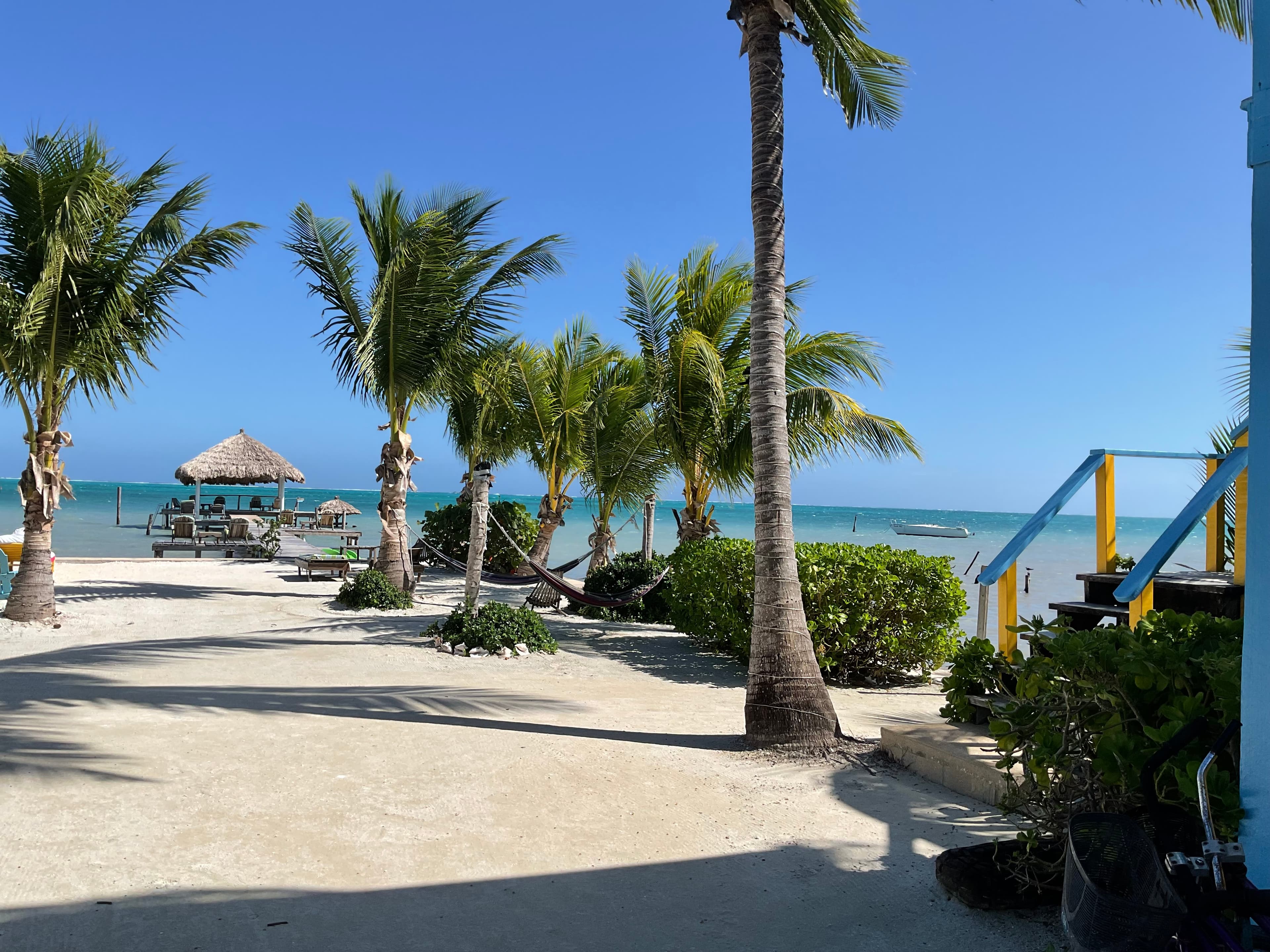 A tropical beach scene with palm trees, a thatched cabana, and turquoise water under a clear blue sky.