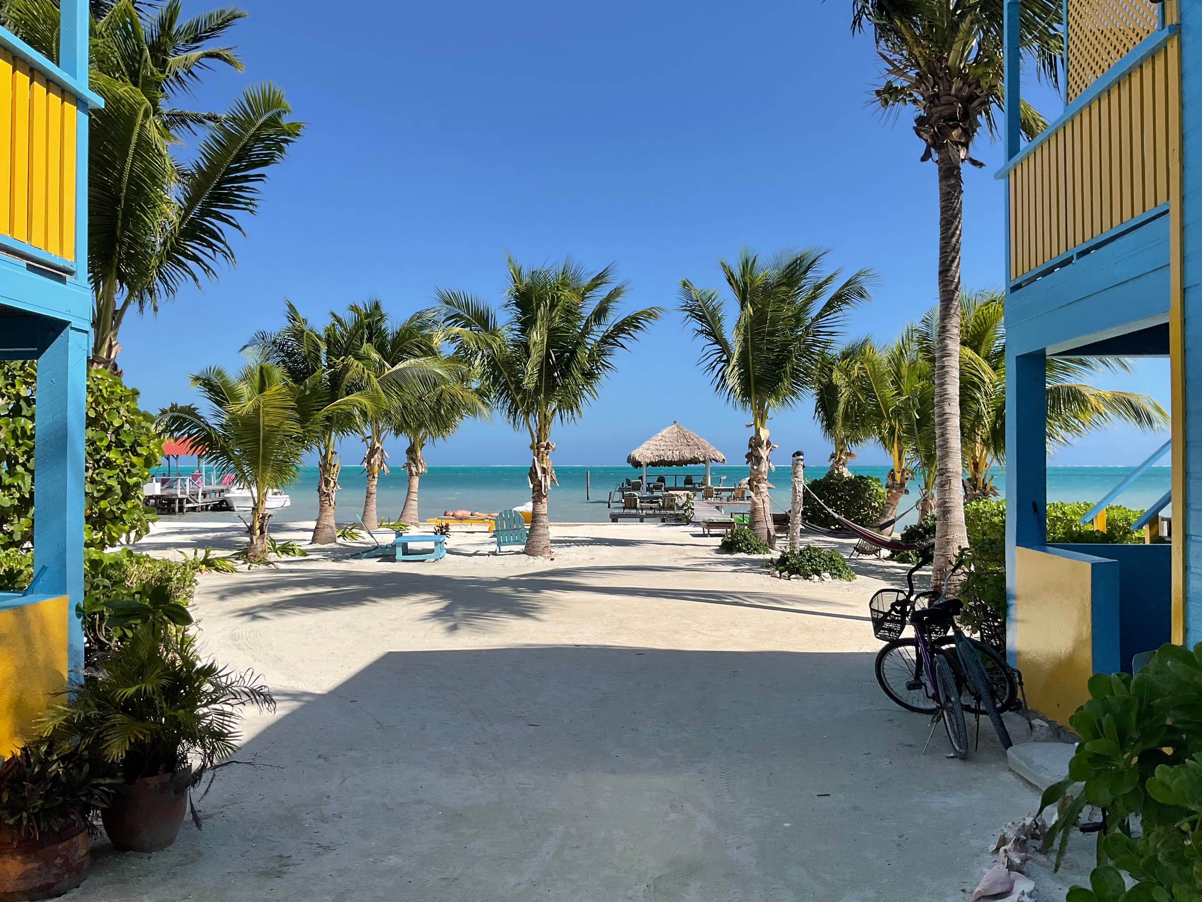 A tropical beach view with palm trees, blue skies, and a thatched hut beyond a sandy pathway.